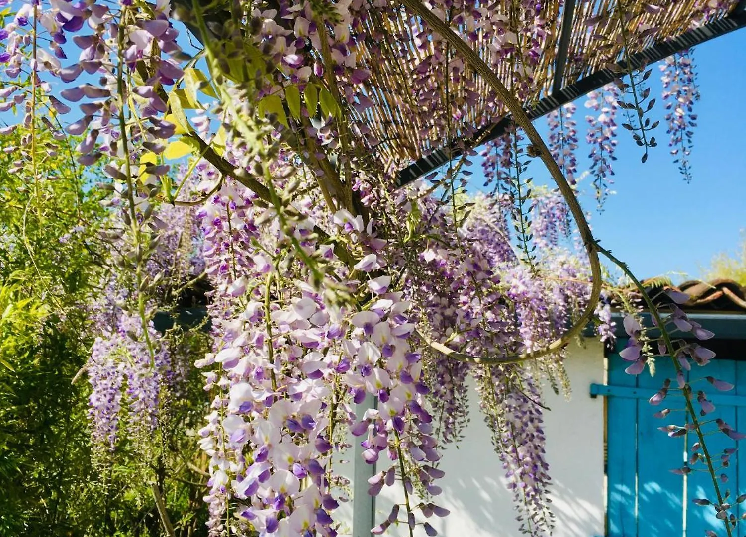 Les Didascalies Vic-Fezensac Bed & Breakfast